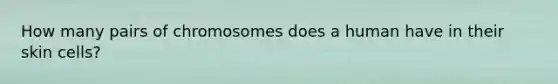 How many pairs of chromosomes does a human have in their skin cells?