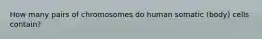 How many pairs of chromosomes do human somatic (body) cells contain?