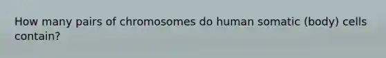 How many pairs of chromosomes do human somatic (body) cells contain?