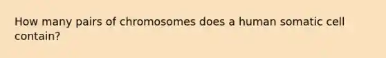 How many pairs of chromosomes does a human somatic cell contain?