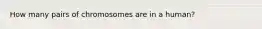 How many pairs of chromosomes are in a human?