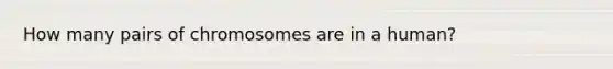 How many pairs of chromosomes are in a human?