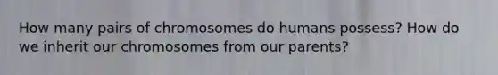 How many pairs of chromosomes do humans possess? How do we inherit our chromosomes from our parents?