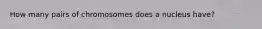 How many pairs of chromosomes does a nucleus have?