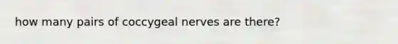 how many pairs of coccygeal nerves are there?