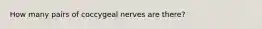 How many pairs of coccygeal nerves are there?