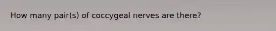 How many pair(s) of coccygeal nerves are there?