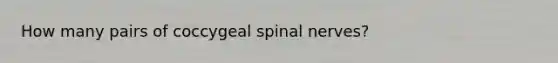 How many pairs of coccygeal spinal nerves?