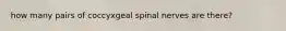 how many pairs of coccyxgeal spinal nerves are there?