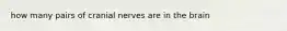 how many pairs of cranial nerves are in the brain