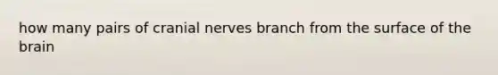 how many pairs of cranial nerves branch from the surface of the brain