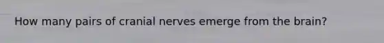 How many pairs of cranial nerves emerge from the brain?