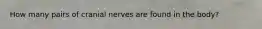 How many pairs of cranial nerves are found in the body?