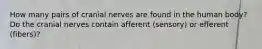 How many pairs of cranial nerves are found in the human body? Do the cranial nerves contain afferent (sensory) or efferent (fibers)?