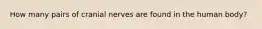 How many pairs of cranial nerves are found in the human body?