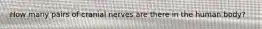 How many pairs of cranial nerves are there in the human body?