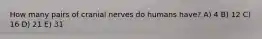 How many pairs of cranial nerves do humans have? A) 4 B) 12 C) 16 D) 21 E) 31