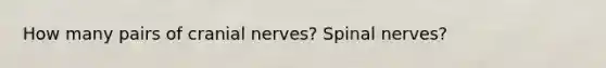 How many pairs of cranial nerves? Spinal nerves?