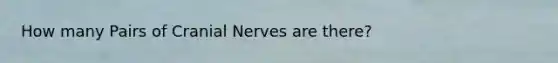 How many Pairs of Cranial Nerves are there?