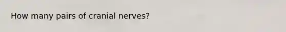 How many pairs of cranial nerves?