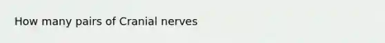 How many pairs of Cranial nerves