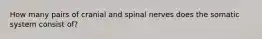 How many pairs of cranial and spinal nerves does the somatic system consist of?