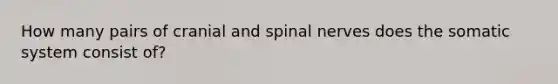 How many pairs of cranial and spinal nerves does the somatic system consist of?