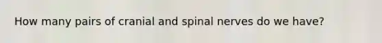 How many pairs of cranial and spinal nerves do we have?