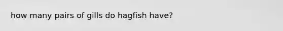 how many pairs of gills do hagfish have?