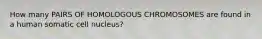 How many PAIRS OF HOMOLOGOUS CHROMOSOMES are found in a human somatic cell nucleus?