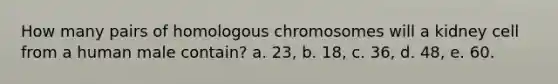 How many pairs of homologous chromosomes will a kidney cell from a human male contain? a. 23, b. 18, c. 36, d. 48, e. 60.