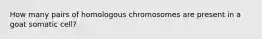 How many pairs of homologous chromosomes are present in a goat somatic cell?