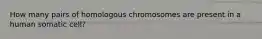 How many pairs of homologous chromosomes are present in a human somatic cell?