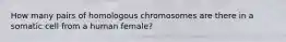 How many pairs of homologous chromosomes are there in a somatic cell from a human female?