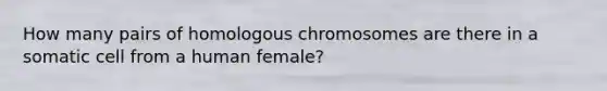 How many pairs of homologous chromosomes are there in a somatic cell from a human female?