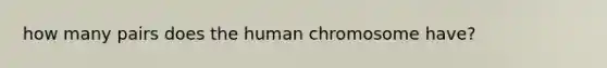 how many pairs does the human chromosome have?