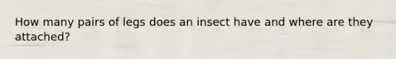 How many pairs of legs does an insect have and where are they attached?