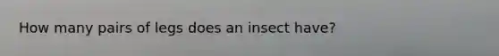 How many pairs of legs does an insect have?