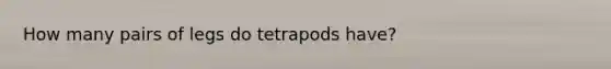 How many pairs of legs do tetrapods have?