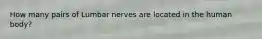 How many pairs of Lumbar nerves are located in the human body?