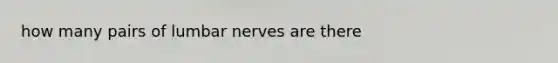 how many pairs of lumbar nerves are there