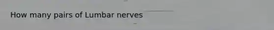 How many pairs of Lumbar nerves