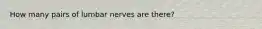 How many pairs of lumbar nerves are there?