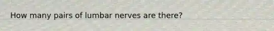 How many pairs of lumbar nerves are there?