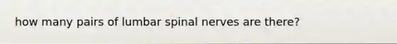 how many pairs of lumbar spinal nerves are there?