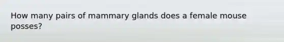 How many pairs of mammary glands does a female mouse posses?