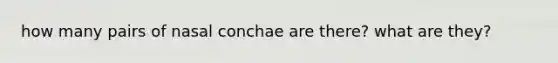 how many pairs of nasal conchae are there? what are they?