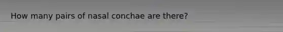 How many pairs of nasal conchae are there?