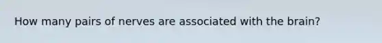 How many pairs of nerves are associated with the brain?