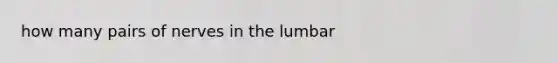 how many pairs of nerves in the lumbar